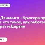 Эффект Даннинга – Крюгера простыми словами: что такое, как работает и при чём Сократ и Дарвин