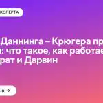 Эффект Даннинга – Крюгера простыми словами: что такое, как работает и при чём Сократ и Дарвин