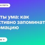Секреты ума: как эффективно запоминать информацию